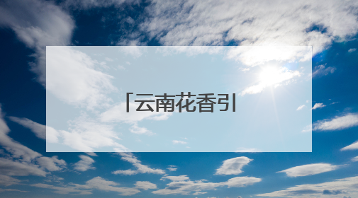 云南花香引四方游客