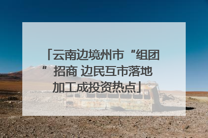 云南边境州市“组团”招商 边民互市落地加工成投资热点