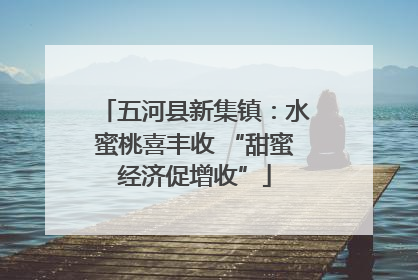 五河县新集镇：水蜜桃喜丰收 “甜蜜经济促增收”