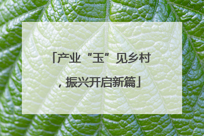 产业“玉”见乡村，振兴开启新篇