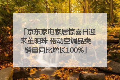 京东家电家居惊喜日迎来董明珠 带动空调品类销量同比增长100%