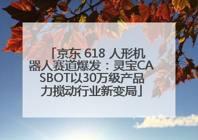 京东 618 人形机器人赛道爆发：灵宝CASBOT以30万级产品力搅动行业新变局