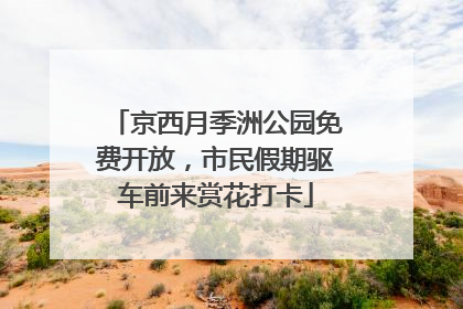 京西月季洲公园免费开放，市民假期驱车前来赏花打卡