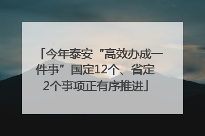 今年泰安“高效办成一件事”国定12个、省定2个事项正有序推进
