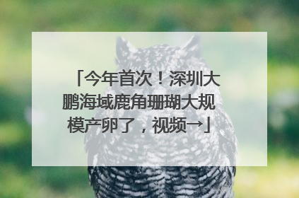 今年首次！深圳大鹏海域鹿角珊瑚大规模产卵了，视频→
