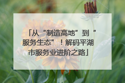 从“制造高地”到“服务生态”！解码平湖市服务业进阶之路