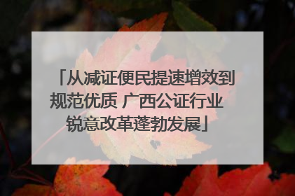 从减证便民提速增效到规范优质 广西公证行业锐意改革蓬勃发展