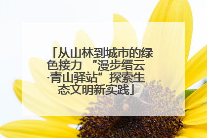 从山林到城市的绿色接力 “漫步缙云·青山驿站”探索生态文明新实践