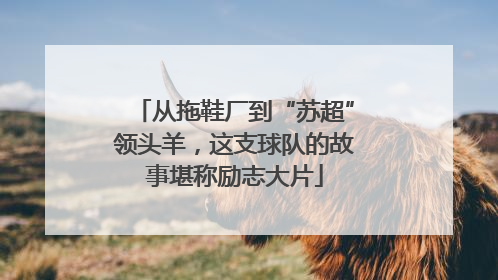 从拖鞋厂到“苏超”领头羊，这支球队的故事堪称励志大片