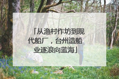 从渔村作坊到现代船厂，台州造船业逐浪向蓝海