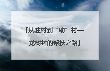 从驻村到“助”村——龙树村的帮扶之路