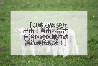 以练为战 尖兵出击！直击内蒙古自治区跨区域拉动演练硬核现场！