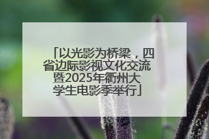 以光影为桥梁，四省边际影视文化交流暨2025年衢州大学生电影季举行