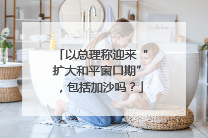 以总理称迎来“扩大和平窗口期”，包括加沙吗？