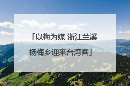以梅为媒 浙江兰溪杨梅乡迎来台湾客