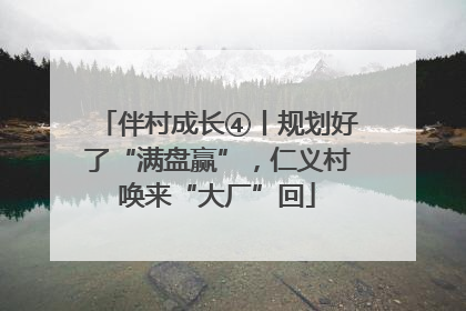伴村成长④丨规划好了“满盘赢”，仁义村唤来“大厂”回