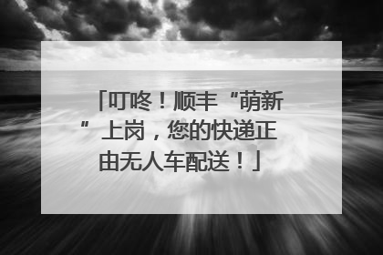 叮咚！顺丰“萌新”上岗，您的快递正由无人车配送！