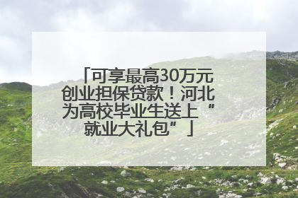 可享最高30万元创业担保贷款！河北为高校毕业生送上“就业大礼包”