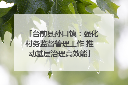 台前县孙口镇：强化村务监督管理工作 推动基层治理高效能