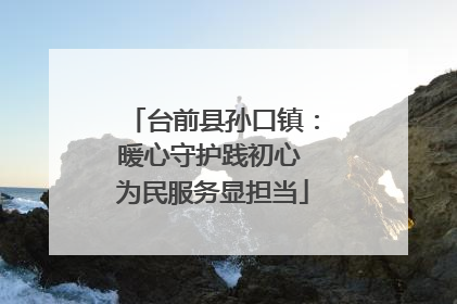 台前县孙口镇：暖心守护践初心 为民服务显担当