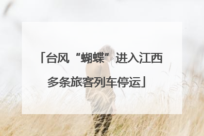 台风“蝴蝶”进入江西 多条旅客列车停运
