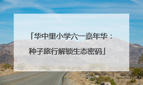 华中里小学六一嘉年华：种子旅行解锁生态密码