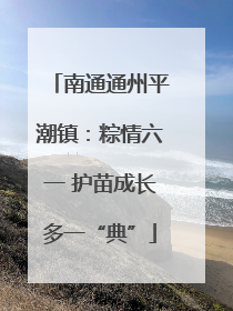 南通通州平潮镇：粽情六一 护苗成长多一“典”