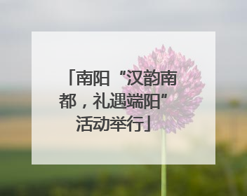 南阳“汉韵南都，礼遇端阳”活动举行