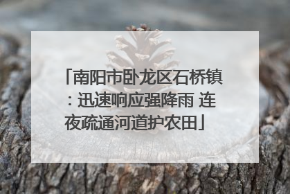 南阳市卧龙区石桥镇：迅速响应强降雨 连夜疏通河道护农田