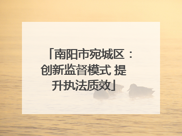 南阳市宛城区：创新监督模式 提升执法质效