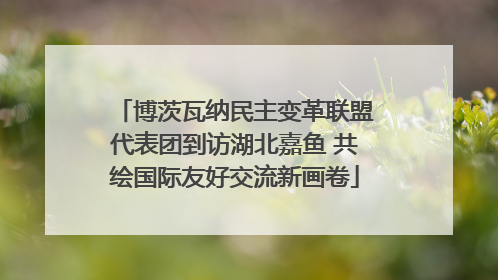 博茨瓦纳民主变革联盟代表团到访湖北嘉鱼 共绘国际友好交流新画卷