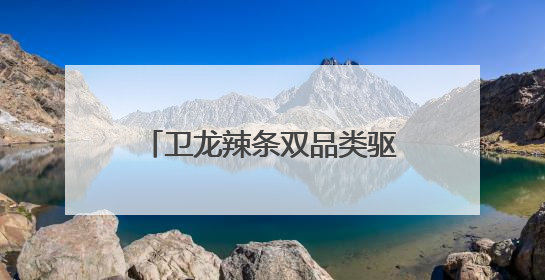 卫龙辣条双品类驱动，领航辣味休闲食品行业千亿赛道
