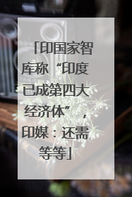 印国家智库称“印度已成第四大经济体”，印媒：还需等等