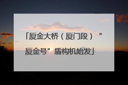 厦金大桥（厦门段）“厦金号”盾构机始发