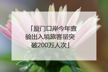 厦门口岸今年查验出入境旅客量突破200万人次