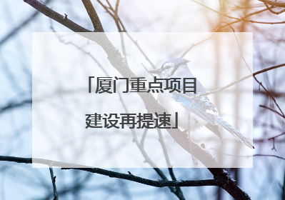 厦门重点项目建设再提速