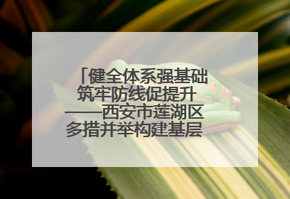 健全体系强基础 筑牢防线促提升——西安市莲湖区多措并举构建基层应急管理新格局