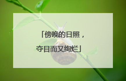 傍晚的日照，夺目而又绚烂