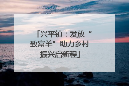 兴平镇：发放“致富羊”助力乡村振兴启新程