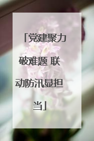 党建聚力破难题 联动防汛显担当