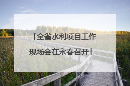 全省水利项目工作现场会在永春召开