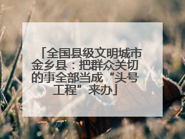 全国县级文明城市金乡县：把群众关切的事全部当成“头号工程”来办