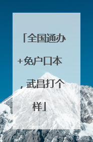 全国通办+免户口本，武昌打个样
