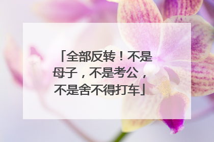 全部反转！不是母子，不是考公，不是舍不得打车