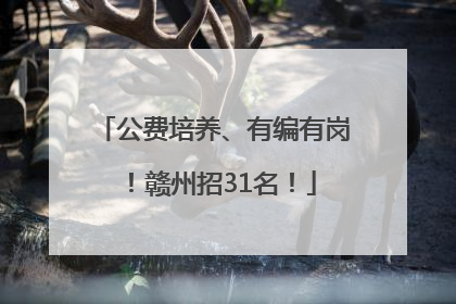 公费培养、有编有岗！赣州招31名！