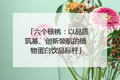 六个核桃：以品质筑基、创新领航的植物蛋白饮品标杆