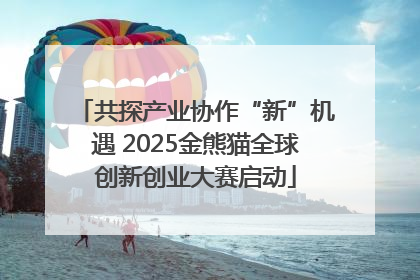 共探产业协作“新”机遇 2025金熊猫全球创新创业大赛启动