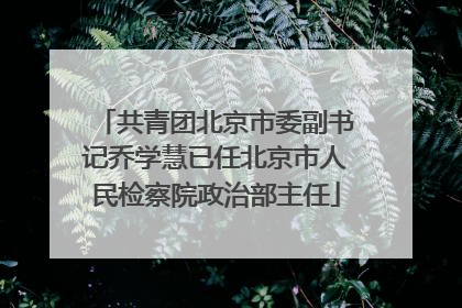 共青团北京市委副书记乔学慧已任北京市人民检察院政治部主任
