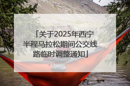 关于2025年西宁半程马拉松期间公交线路临时调整通知