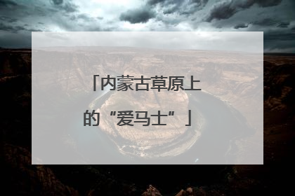 内蒙古草原上的“爱马士”